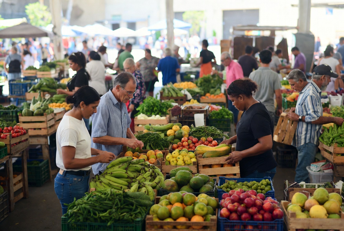 Terreno agrícola